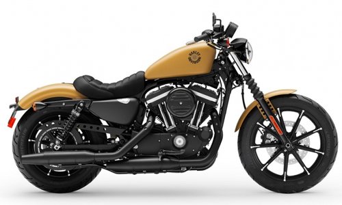 Iron 883 [2018-2019]