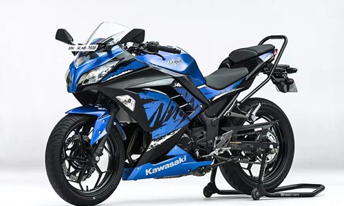 Ninja 300 [2018-2019]